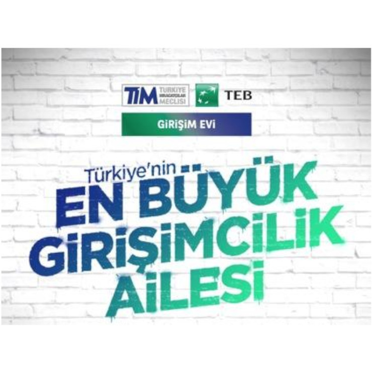 Tim-Teb Girişim Evi